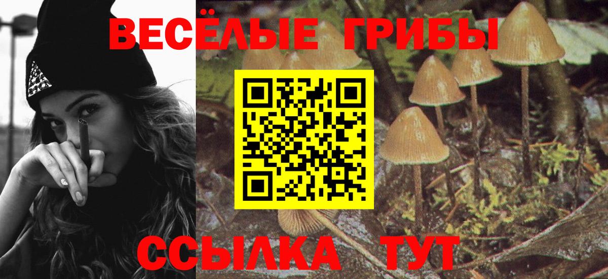 Псилоцибиновые грибы Psilocybine cubensis Джанкой